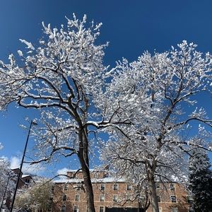 Meet your Posher, Barbara